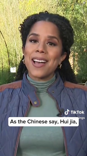 With heavy hearts, the Smithsonian's National Zoo in Washington, D.C. bid farewell to three giant pandas, marking the conclusion of its beloved panda program. ❤️🐼 #pandas #washingtondc #china #news #nationalzoo #dc