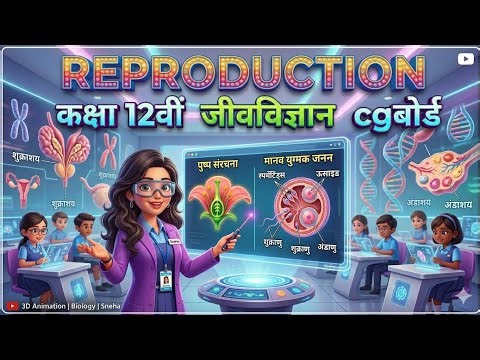 human reproduction ( animation-01) class 12th biology