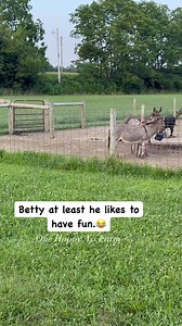 22K views · 1.2K reactions | One Happy Ass Farm on Reels | Facebook