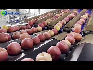 4 lane optical color sorter weight grader apple sorting grading machine fruit vision sorting line