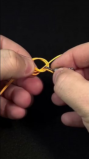 Noeud de peche : Palomar