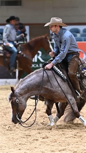 Da Baby Rocking P Ranch Jesse Lennox Cutting Horses | Metallic Cat