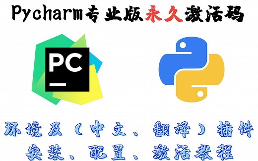 【2024】全网最新最详细的Python和pycharm专业版（环境及插件的安装、激活、配置教程）