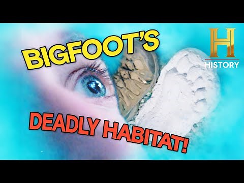 Wyoming’s Bigfoot Sightings Investigated (Season 1) | MonsterQuest