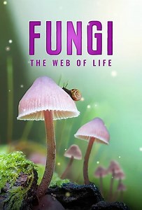 Fungi: The Web of Life Summary, Trailer, Cast, Where to Watch and More