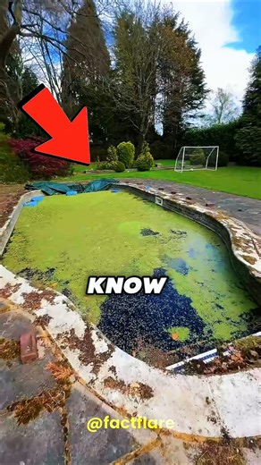 Your Green Pool Isn’t Ruined… Here’s the Fix 😳