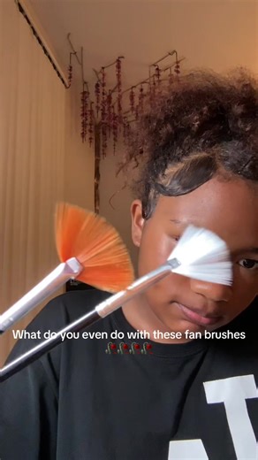 Understanding Fan Brushes for Nail Art