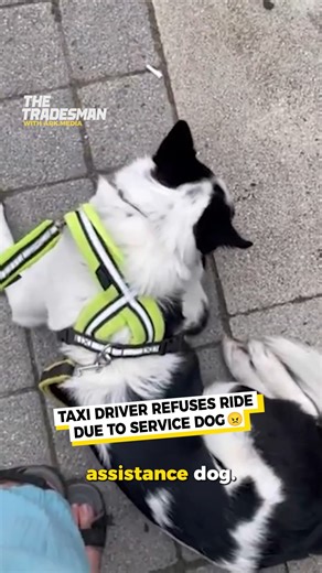1.4M views · 9.5K reactions | He cancelled her trip because of her service dog  | The Tradesman | Facebook