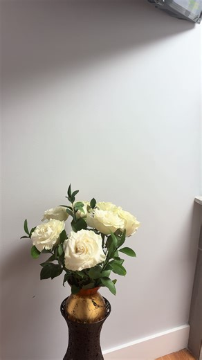 The Body Healing (@thebodyhealing)’s videos with sonido original - The Body Healing