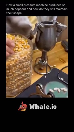 Explain everything 🧠 | It might look small and simple, but a popcorn pressure machine is a brilliant blend of heat, pressure, and physics at work. Inside, each... | Instagram