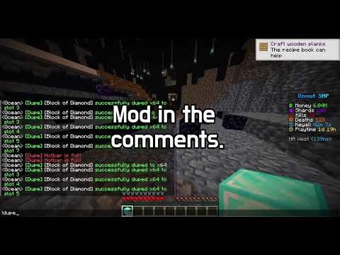 DonutSMP Dupe 1.21.11 Unpatched