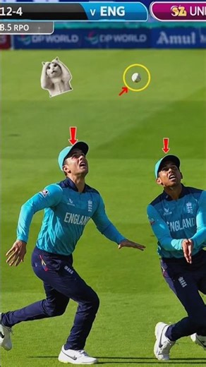 England Fielders Collided 😂🏏 #cricketreel #trend