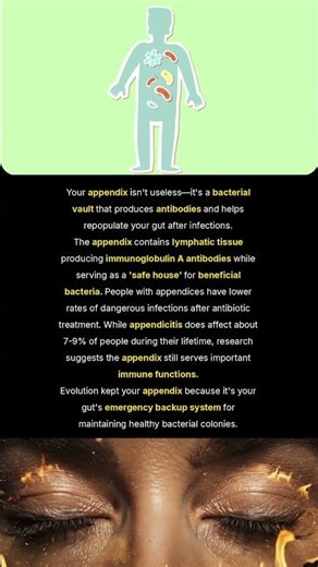 Your Appendix Is Actually Your Gut's Secret Weapon #Shorts