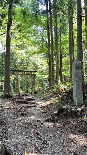 【和歌山観光】熊野古道① 発心門王子 Kumano Kodo in Wakayama, Japan | Part 1: Hosshinmon-oji