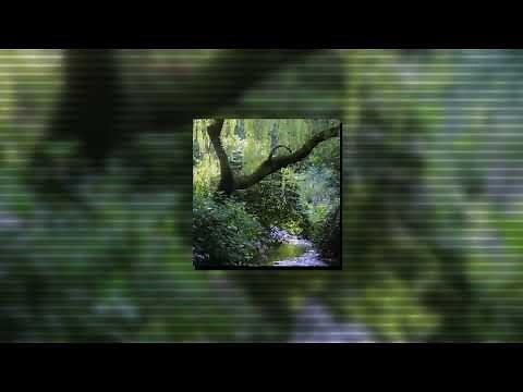 Mis - Alex G ( Slowed / Daycore) “I said I miss you so bad she said”