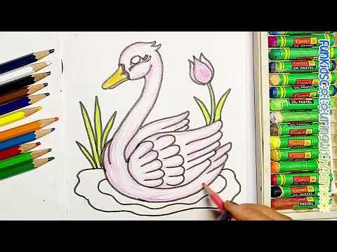 How to Draw & Colour a Beautiful Swan | Easy and Cute Drawing for Kids