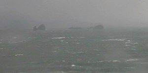 4.9K views · 11 reactions | High winds battered the southern Oregon...