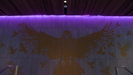 Swim Lessons With Michael Phelps