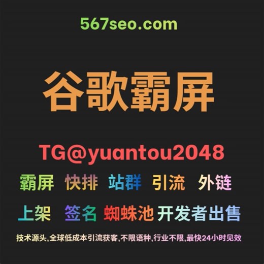 谷歌蜘蛛池试用版[TG@yuantou2048]高权重谷歌蜘蛛池 bing(必应)蜘蛛池出租