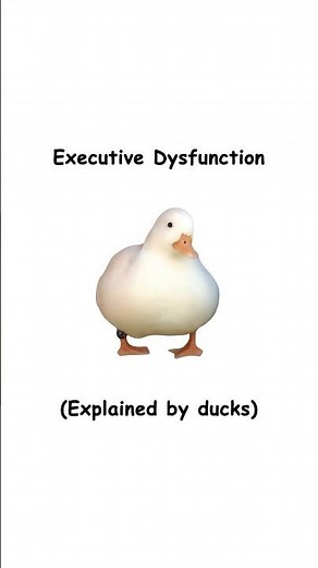 Executive Dysfunction (explained by ducks)