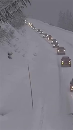 Mega Tempesta d'Inverno - Allerta in Nord America #2026 #tempesta #bufera #neve #ghiaccio