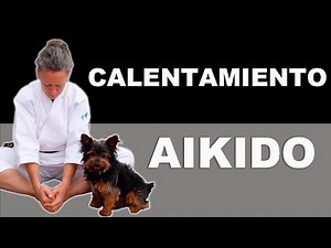 Basic Aikido Warm-up