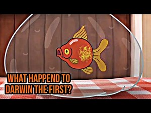 so this is what happened to darwin the first (the amazing world of gumball)