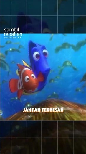 FINDING NEMO: FAKTA MENGEJUTKAN IKAN BADUT