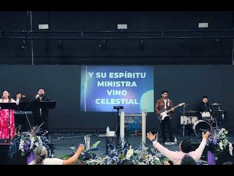 Levante señor-Hay vino celestial-El santo de Israel-(COVER)