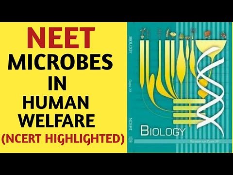 Microbes In Human Welfare/Class 12/NCERT/Chapter 10/Quick Revision Series/NEET/AIIMS/JIPMER