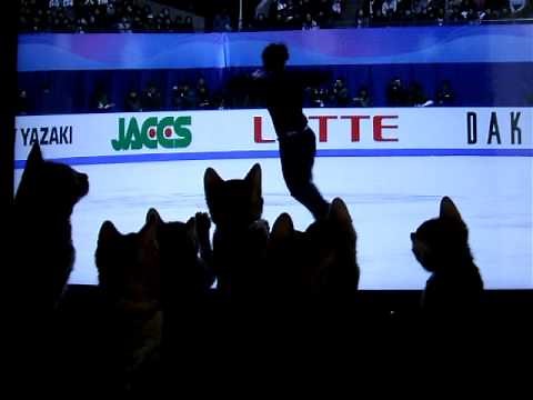 フィギュアスケート_NHK杯