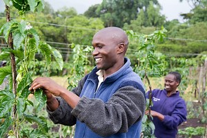 About TechnoServe - Leading in Poverty Alleviation