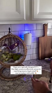 Take it from Drishti Patel: the Zevo Flying Insect Trap and Insect Killer Spray are game changers for combatting pesky fruit flies in your home! No need to stress - just plug or spray and walk away. | Zevo