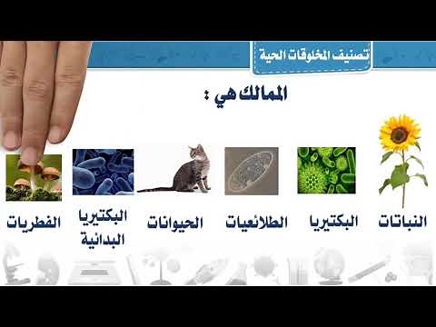 ممالك المخلوقات الحية