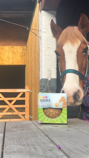 Day 2 of Pony Tag Presents! Today was Amber’s turn, and her face says it all — happiest girl ever! 💕🐴🎁 | Stepney Bank Stables