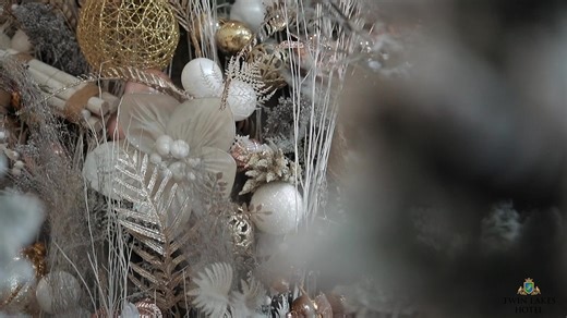 4.5K views · 86 reactions | Twin Lakes Hotel sparkled with joy during...