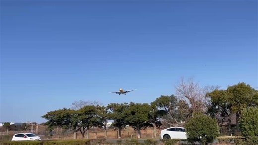 #羽田空港から福岡空港ゆき#たくあん