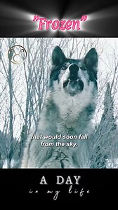 "Frozen" 2010 Overview Stranded on Mount Holliston as night falls, a trio of snowboarders must find a way to escape the mountain before the deadly cold sets in. | Ａday In My Life