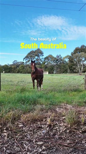 The beauty of South Australia #australiadiaries #travel #roadtrip