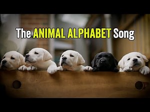 Animal Alphabet Song! 🐘🦒🐱 A to Z Fun Learning for Kids!