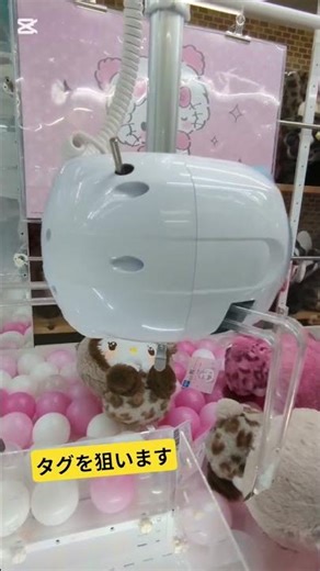 クレゲー最新パンダキティ激かわオトンがタグかけでゲット❗❓おしいとこに長男の技ありタグかけ#クレンゲーム#ハローキティ#最新#パンタ#おとん#長男#技あり#タグかけ