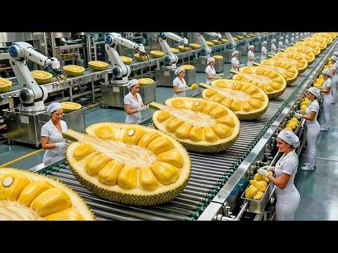 Inside a Modern Fruit Factory: How Giant Jackfruits Become Crispy Snacks (Full Process)