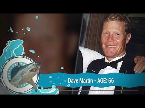 Shark attack compilation - shark bites off diver's head in gruesome attack