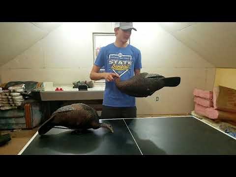 Flextone Thunder Chick Turkey Decoy Review