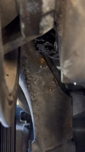 Are you planning a holiday trip? Have you had your car inspected to prevent any surprises? Don’t let a minor leak ruin your plans; contact us for a call or send a message. Visual inspections are complimentary during any service or repair visit. | Auto Rx