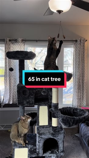 No more bored kitties with this 65 inch cat tree! #catsoftiktok #cattower #cattree #cattoy #cattoys HOOMIC 65in Multi-Level Large Cat Tree Tower for Indoor Cats/Furniture Activity Center with Wide Base/Cozy Plush Cat Perches/Cat Condo with Baskets/Sisal Scratching Posts and Hammock