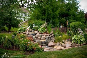 Rainwater Harvesting Backyard Ideas