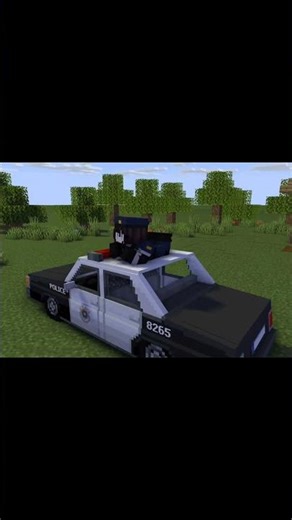 Minecraft lol 🎉 #minecraft