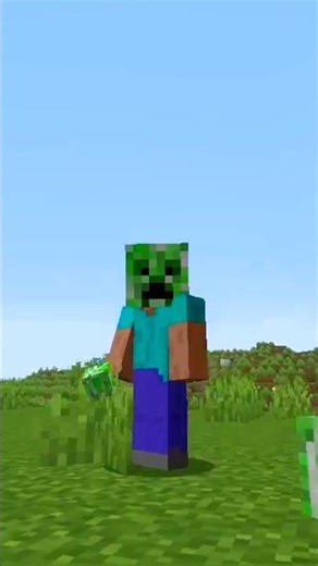 Mobs Head = New Helmet ⛑️