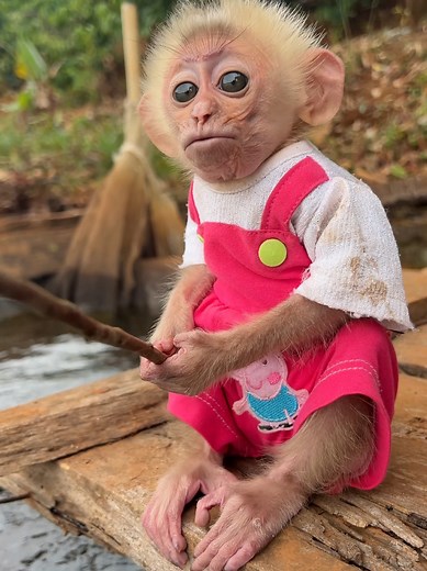 Cute Baby Monkey Fishing Adventure